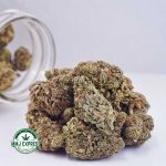 Buy Cannabis Island Maui Haze AA at MMJ Express Online Shop