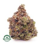 Buy Cannabis Peanut Butter Breath AAAA at MMJ Express Online Shop