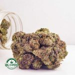 Buy Cannabis Peanut Butter Breath AAAA at MMJ Express Online Shop