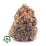 Buy Cannabis Astro Cookies AAA at MMJ Express Online Shop