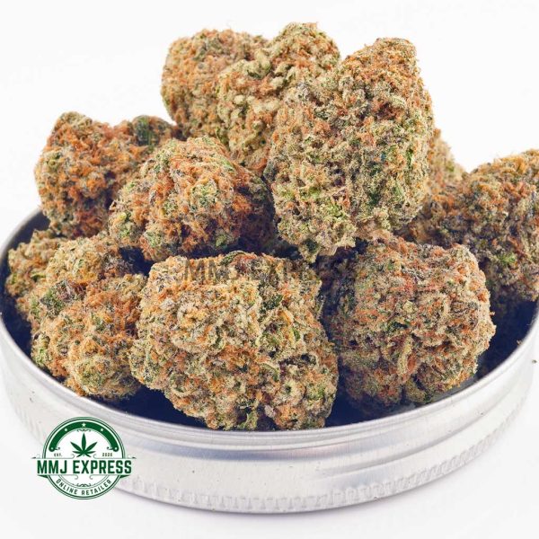 Buy Cannabis Astro Cookies AAA at MMJ Express Online Shop