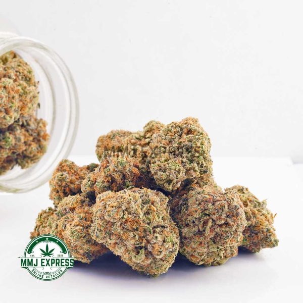 Buy Cannabis Astro Cookies AAA at MMJ Express Online Shop