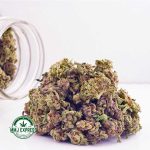 Buy Cannabis Lemonade Kush AAA (Popcorn Nugs) at MMJ Express Online Shop