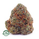 Buy Cannabis Animal Cookies AAA at MMJ Express Online Shop