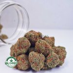 Buy Cannabis Animal Cookies AAA at MMJ Express Online Shop