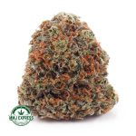 Buy Cannabis Blackberry Haze AAA at MMJ Express Online Shop