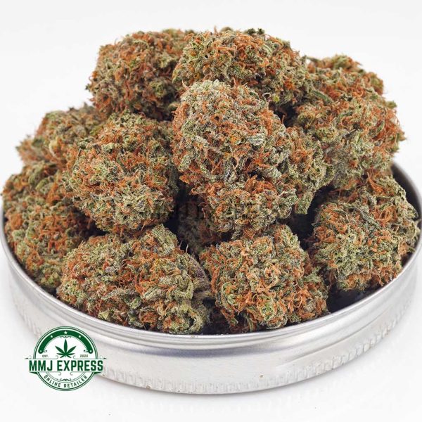 Buy Cannabis Blackberry Haze AAA at MMJ Express Online Shop