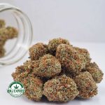 Buy Cannabis Blackberry Haze AAA at MMJ Express Online Shop