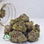 Buy Cannabis Frosted Oranges AAAA at MMJ Express Online Shop