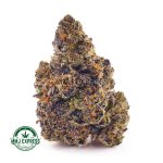 Buy Cannabis Vintage Gas AAAA+, Craft at MMJ Express Online Shop