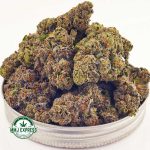 Buy Cannabis Vintage Gas AAAA+, Craft at MMJ Express Online Shop