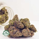 Buy Cannabis Vintage Gas AAAA+, Craft at MMJ Express Online Shop