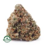 Buy Cannabis Guava Cookies AAA at MMJ Express Online Shop