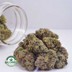 Buy Cannabis Death Bubba AAAA at MMJ Express Online Shop