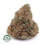 Buy Cannabis Nirvana AAA at MMJ Express Online Shop