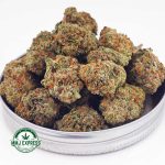 Buy Buy Cannabis Green Crack AA at MMJ Express Online ShopCannabis Green Crack AAA at MMJ Express Online Shop