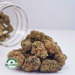 Buy Cannabis Green Crack AA at MMJ Express Online Shop