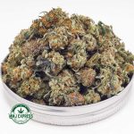 Buy Cannabis Pink Champagne AAA (Popcorn Nugs) at MMJ Express Online Shop