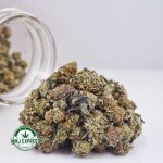 Buy Cannabis Pink Champagne AAA (Popcorn Nugs) at MMJ Express Online Shop