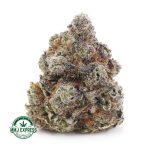 Buy Cannabis Apple Fritter AAAA+, Craft at MMJ Express Online Shop