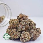 Buy Cannabis Space Cookies AAAA at MMJ Express Online Shop