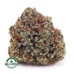 Buy Cannabis Pink Death AAAA MMJ Express Online Shop