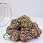 Buy Cannabis Pink Death AAAA MMJ Express Online Shop