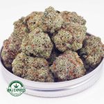 Buy Cannabis Sundae Driver AAAA at MMJ Express Online Shop