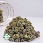 Buy Cannabis Pink Tuna AAAA (Popcorn Nugs) at MMJ Express Online Shop