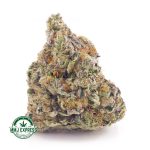 Buy Cannabis White Runtz AAAA at MMJ Express Online Shop