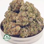 Buy Cannabis Supreme Blueberry AAAA+, Craft at MMJ Express Online Shop