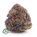 Buy Cannabis Cookie Crasher AAAA at MMJ Express Online Shop