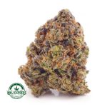 Buy Cannabis Pink Guava AAA at MMJ Express Online Shop