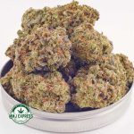 Buy Cannabis Pink Guava AAA at MMJ Express Online Shop