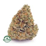 Buy Cannabis Biscotti AAA at MMJ Express Online Shop