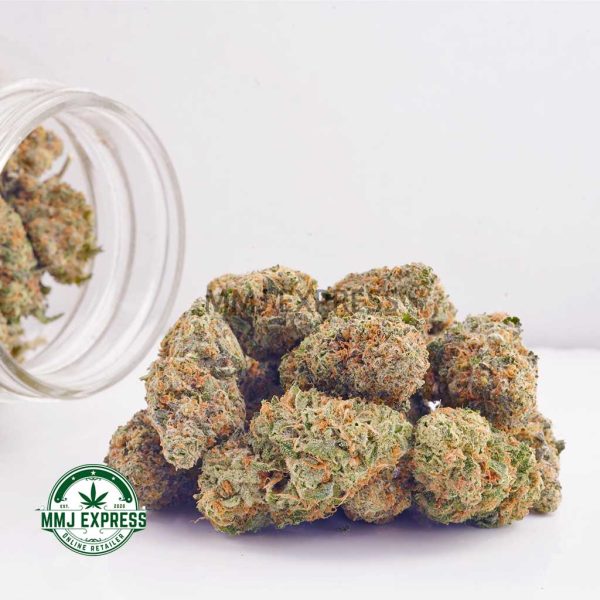 Buy Cannabis Biscotti AAA at MMJ Express Online Shop