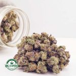 Buy Cannabis Strawberry Shortcake AAAA (Popcorn Nugs) at MMJ Express Online Shop