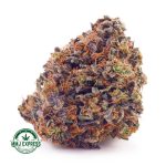 Buy Cannabis Tom Ford Pink Kush AAAA+, Craft at MMJ Express Online Shop