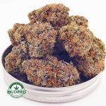 Buy Cannabis Tom Ford Pink Kush AAAA+, Craft at MMJ Express Online Shop