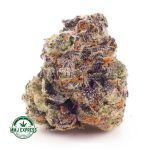 Buy Cannabis Cookies Kush AA at MMJ Express Online Shop