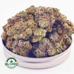 Buy Cannabis Cookies Kush AA at MMJ Express Online Shop