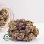 Buy Cannabis Cookies Kush AA at MMJ Express Online Shop