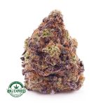 Buy Cannabis Miracle Alien Cookies Craft, AAAA+ at MMJ Express Online Shop