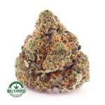 Buy Cannabis Lemon Cake AA at MMJ Express Online Shop