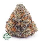 Buy Cannabis Animal Cookies AAA at MMJ Express Online Shop