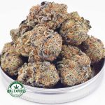 Buy Cannabis Animal Cookies AAA at MMJ Express Online Shop