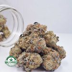 Buy Cannabis Animal Cookies AAA at MMJ Express Online Shop