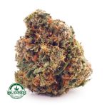 Buy Cannabis Nirvana AAA at MMJ Express Online Shop