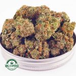 Buy Cannabis Nirvana AAA at MMJ Express Online Shop