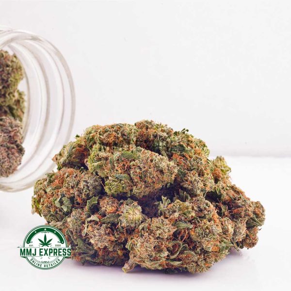 Buy Cannabis Nirvana AAA at MMJ Express Online Shop